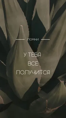 Бенто торт «у тебя все получится» для девушки, жены, подруги, сестры,  парня, мужа, Кондитерские и пекарни в Санкт-Петербурге, купить по цене 1490  RUB, Бенто-торты в bonton с доставкой | Flowwow