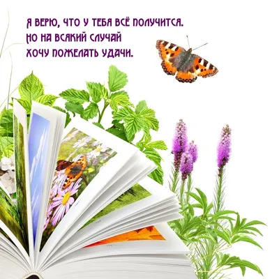 Браслет с чёрной пластиной "У тебя всё получится" (46382) – купить в  