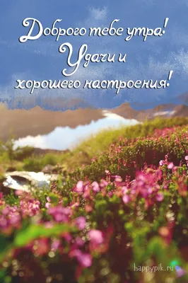 Картинки с надписями "Доброе утро!" | Доброе утро, Надписи, Счастливые  картинки