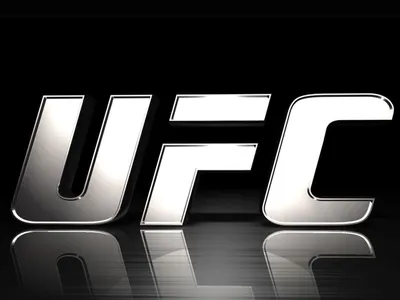 Футболка UFC, размер 50, цвет черный, Хлопок 100% - купить по выгодной цене  в интернет-магазине OZON (849458588)