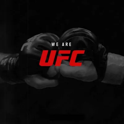 Ultimate Fighting Championship — Википедия