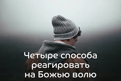 Четыре способа реагировать на Божью волю | Тамбовская Церковь Христа  Спасителя | Дзен