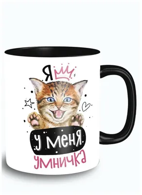 Pin by Angel blackstorm on Мемчики и идейки | Cats, Animals, Tbl