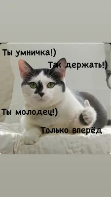 Открытки со словами ты умница