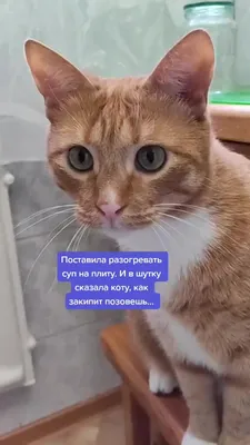 Космическая площадка УМНИЧКА