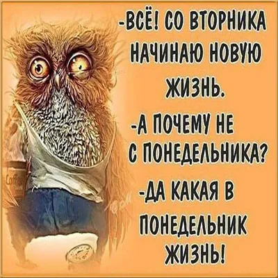 Вторник прикольные картинки с надписями - Гиф со вторником - Удачки вам во  вторник живые картинки - Почему я не люблю вто… | Открытки, Этикетки для  конфет, Картинки