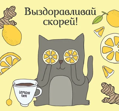 Открытые-НКО - «Выздоравливай скорее»: в Москве доноры могут передать  открытки будущему реципиенту с пожеланием донорпочтой