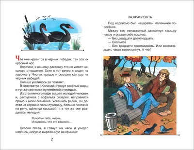 Приключения Васи Куролесова. Коваль Ю. – купить по лучшей цене на сайте  издательства Росмэн