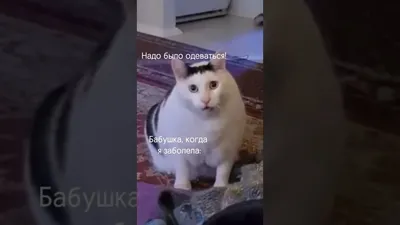 𝕪𝕠𝕦𝕣 𝕞𝕠𝕠𝕕🎭 on Instagram: “😂😂😂 Отмечаем‼️” | Смешные мемы,  Смешно, Настоящие цитаты