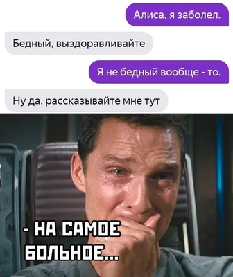 Теплый нос - заболел, нагадил – отомстил: 10 заблуждений о домашних  питомцах, в которые мы упорно продолжаем верить - 