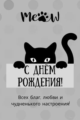 Футболка с изображением семиколона из надписей и надписи «Забудь меня не  Пурпурный Цветок» | AliExpress