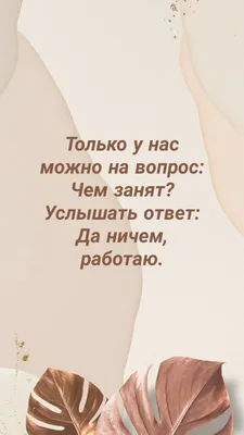 IdaRepost - Приюту MTÜ Kassi Elu сейчас срочно нужна помощь - как  физическая, так и финансовая. Большая часть волонтеров MTÜ Kassi Elu занята  на своих основных работах в будние дни, и поэтому