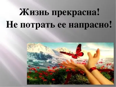 Картинки с надписью - Жизнь прекрасна!.