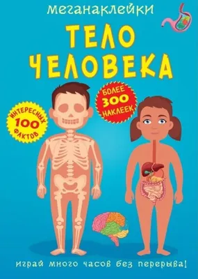 Виммельбух с наклейками - купить книгу с доставкой в интернет-магазине  «Читай-город». ISBN: 978-5-43-660812-9