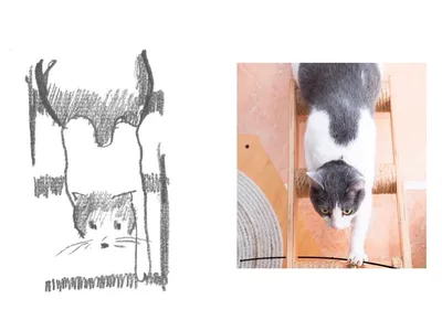 Нарисованные коты. Часть 2 | Inhomeweneed | Дзен