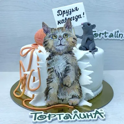 То, чего вы так долго ждали. Собрание мемных котов ... - Котизм,  №2019468186 | Фотострана – cайт знакомств, развлечений и игр