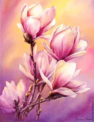 Симпатичный пост открытка с нарисованными цветами на светло-розовом фоне  для поздравления с 8 марта | Flyvi