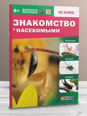 4D Серия Знакомство. Знакомство с насекомыми - купить с доставкой по  выгодным ценам в интернет-магазине OZON (1015449955)