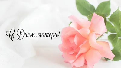 Красивые, трогательные до слёз стихи на День Матери 🌸 шикарные  поздравления в стихах любимой Маме» Страница 2 из 45