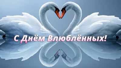 Сегодня в День влюбленных в Усолье состоятся свадьбы » Городской портал  Усолье-Сибирское