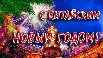 С Китайским Новым Годом! Поздравление с Китайским Новым годом. С годом  быка! - YouTube