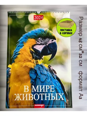 Каленарт Календарь А3 настенный 2024, перекидной