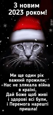 Поздравления с наступающим Новым годом-2022: прикольные СМС в стихах и  прозе | Інформатор Нікополь