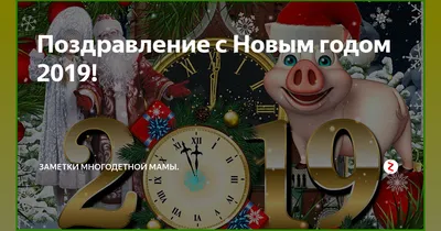 С наступающим Новым годом, или Свинский карантин!