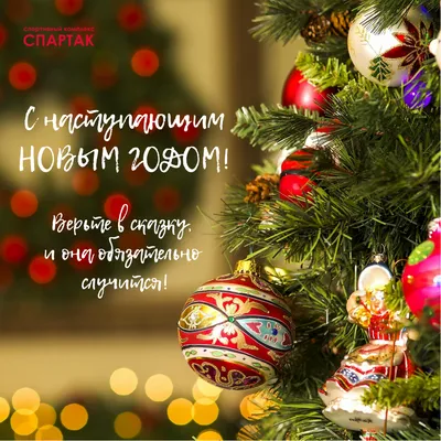 C наступающим Новым годом! - Новости - Спартак СК