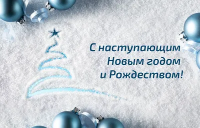 Поздравляем с наступающим Новым годом и Рождеством! — ФГБНУ ВНИИ сои