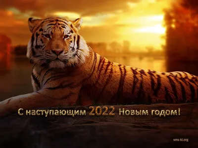 С Наступающим Новым 2022 Годом! | НИИЯФ МГУ