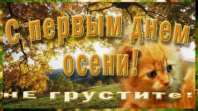 Открытки С наступлением Осени! И мои мысли о наступлении Осени |  Поздравления! Футажи! Видео, фоны. Заставки. Открытки. Стихи. Приметы.  Поверья. Статьи. Света Колос | Дзен