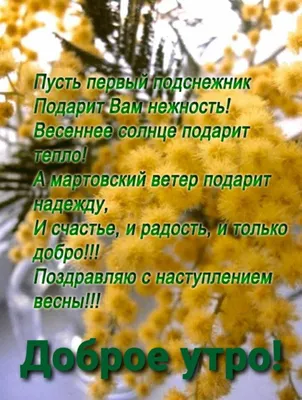 Таяние снеговика на зеленой траве. Концепция наступлением весны смена  сезонов Стоковое Изображение - изображение насчитывающей напольно, двор:  213700367