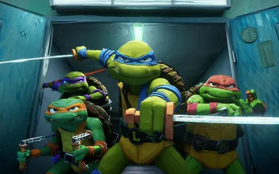 Рафаэль Черепашки-Ниндзя с боевым панцирем, 27 см, TMNT (91223) купить в  Киеве, Игровые фигурки и наборы в каталоге интернет магазина Платошка