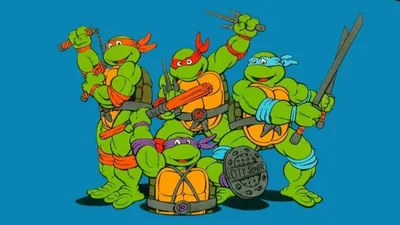 Фигурка Черепашки-ниндзя Леонардо 12 см 80801 серия ROTMNT купить в  Новосибирске - интернет магазин Rich Family