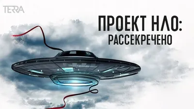 Опубликованы кадры места, где разбился НЛО | ОБЩЕСТВО | АиФ Владивосток