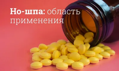 Слова "Умираю, но не сдаюсь" кровью написаны только на русском языке. Где  это произошло и при каких обстоятельствах | История России | Дзен