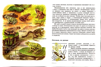 Рецензия на лучшую дораму этого лета «Я знаю, но…»