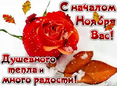 Привет Ноябрь! Желаю Тебе Счастливого и Яркого Ноября!😘🌷 Музыкальная  открытка - YouTube