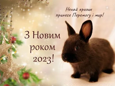 З Новим роком! Ukrainian Happy New Year " Art Print for Sale by Pommallina  | Redbubble