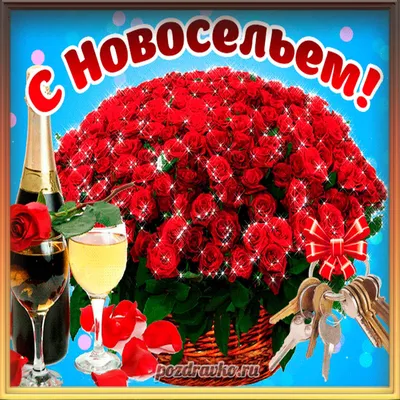 С новосельем #12