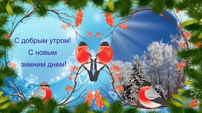 С ДОБРЫМ УТРОМ! С НОВЫМ ЗИМНИМ ДНЁМ!:) | Christmas tree wallpaper, Tree  wallpaper for ipad, Christmas wallpaper ipad