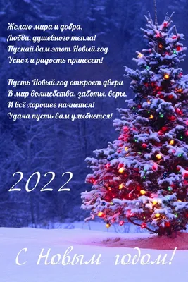 С наступающим Рождеством и Новым 2022 годом! – Военно-охотничье общество