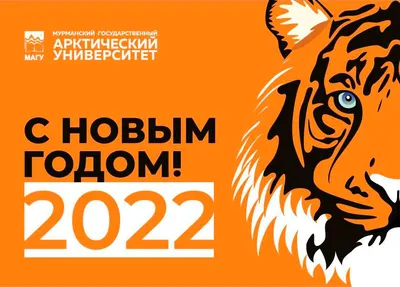 Поздравления с Новым годом 2022 и годом Тигра - лучшие открытки и стихи -  Апостроф