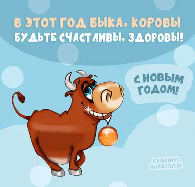 Что важно успеть сделать до Нового года? 2022, Ярославский район — дата и  место проведения, программа мероприятия.