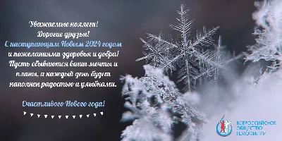 Открытка с Новым годом 2024 коллегам по работе - Открытки с новым годом  2024 с поздравлениями