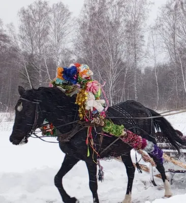 С наступающим Новым Годом!