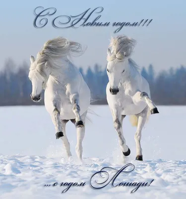 Идеи на тему «Год лошади - 2014, 2026» (9) | лошади, новогодние открытки,  открытки