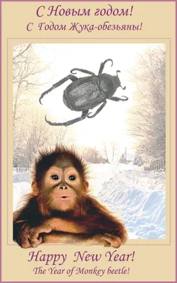Иллюстрация Открытка к новому году обезьяны в стиле книжная графика