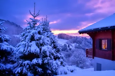 Дерево, снег,новый год, природа» — создано в Шедевруме